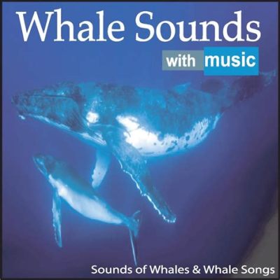 A Song for a Dead Whale en de hypnotiserende melancholie van de zee